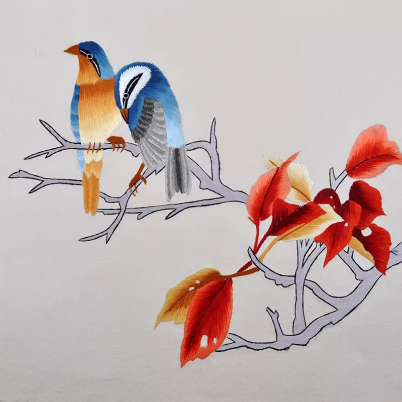 Kit di Ricamo Cinese di Suzhou - Embroidery Running Stitch recensione e prezzo